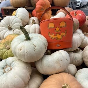 Coach pumpkin canvas bucket bag